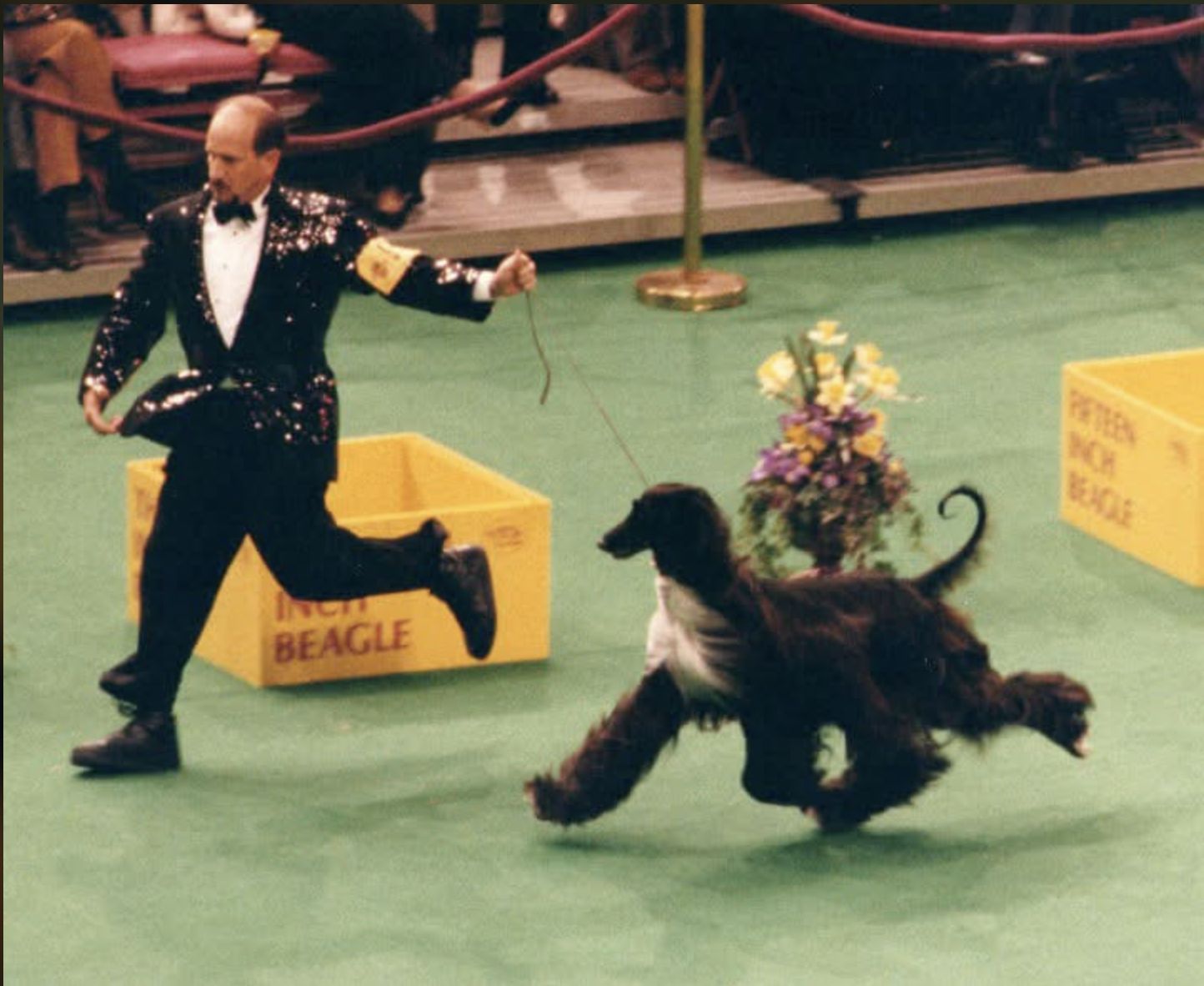 A Moment of Suspension